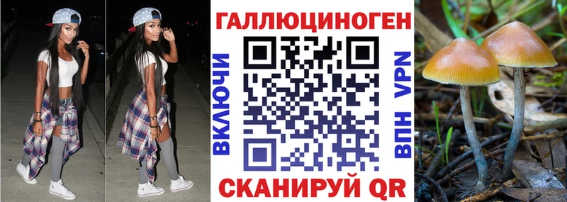 Галлюциногенные грибы MAGIC MUSHROOMS Узловая